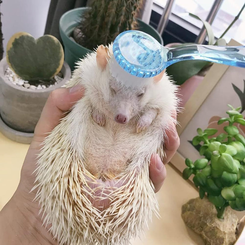 Ipetboom Hamster Guinea Pig Brush - 4pcs Small Pet Bath Brush Bunny Accessories - Hamster Shower Brush Massage Accessories - Shower Comb for Pet Nail Cleaner Plastic 13x4.5cm Random Color - BeesActive Australia