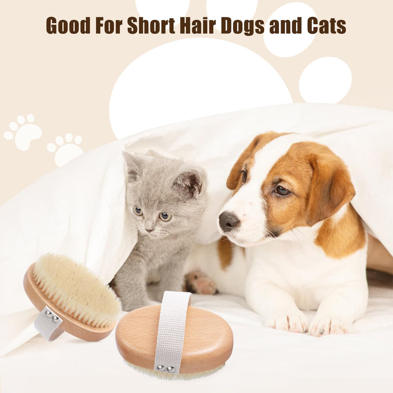 Soft Boar Bristle Pet Palm Brush for Short Haired Dogs and Cats with Band, Reduce Shedding, Ergonomic Dog Brush, Easy to Hold and Reduces Stress On Your Wrist | Ideal for Daily Grooming Wood - BeesActive Australia