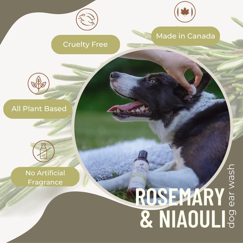 Natural Dog Ear Cleaner Solution - Dog Itchy Ears Treatment - Eliminates Odor & Waxy Buildup - Gentle Dog Ear Wash Formula - Made in Canda by Black Sheep Organics (4 fl oz) - PawsPlanet Australia