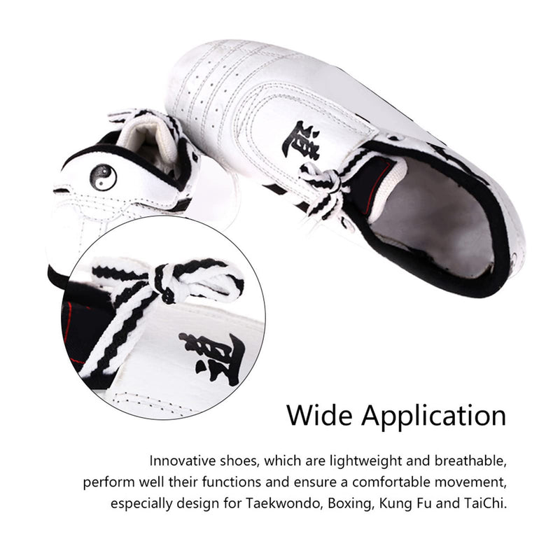 Dilwe Kong Fu Shoes, Reliable Taekwondo Shoes for Men and Women Children, White 37 M EU