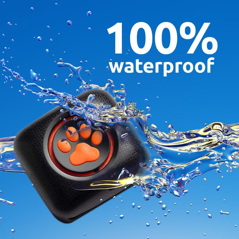 Pitpat - activity monitor for dogs - BeesActive Australia