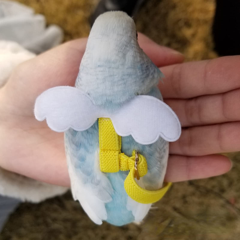 Pet Parrot Bird Harness Leash Adjustable Bird Flying Harness Traction Rope with Cute Wing for Parrots Pigeons Budgerigar Lovebird Cockatiel Mynah Outdoor Training Toy (M, Blue) Medium - BeesActive Australia