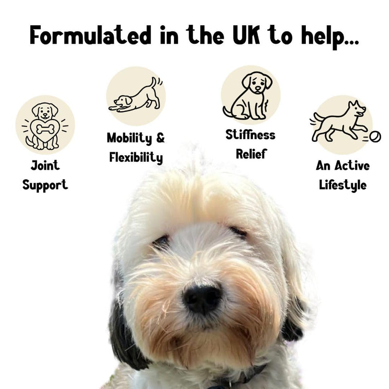 150 DoggyStyle Joint Care Treats for Dogs - Hip & Joint Support Soft Chews with Glucosamine, Chondroitin, MSM, Green Lipped Mussel, Collagen & Turmeric - Mobility Support for All Breeds & Ages