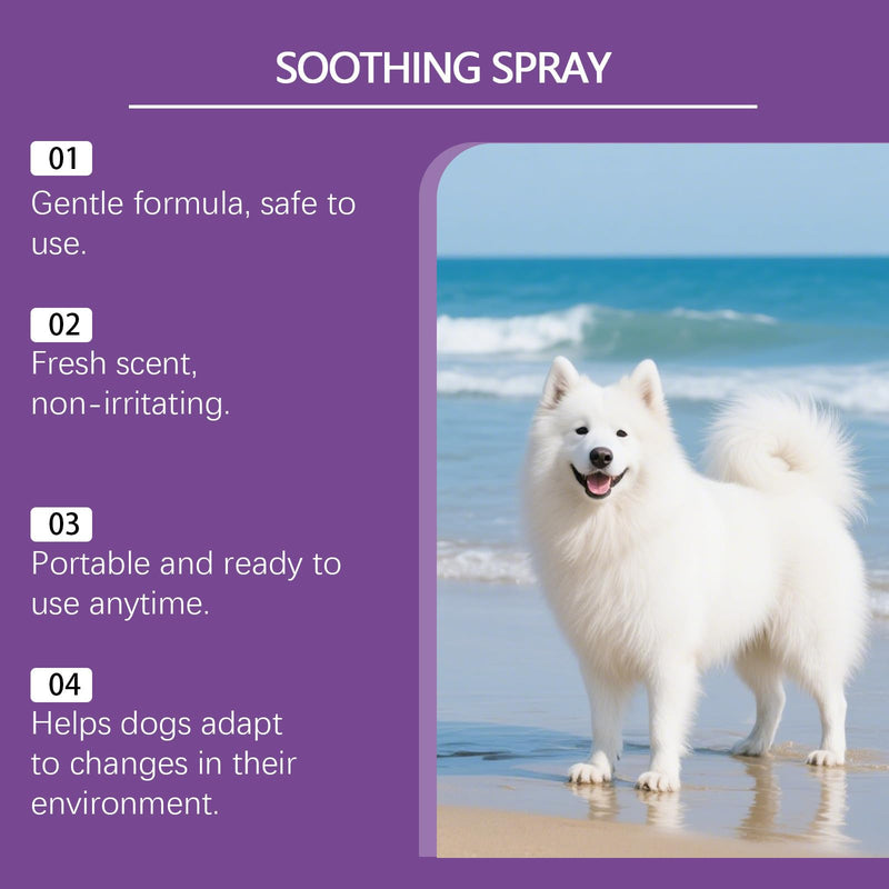 Pet Calming Spray for Dogs & Cats, Calms for Anxiety Helps Reduce Stress, Calming Diffuser for Use Around the House & Travelling, Soothing Spray for Blankets Carriers Pet Bedding, Gentle Formula 100ml