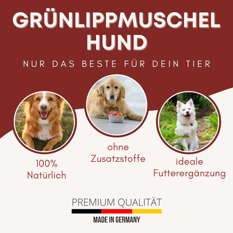 500g Premium Green Lipped Mussel Powder Dog - Made in Germany - Green Lipped Mussel for Dogs Cats Horses 100% pure - Green Lipped Mussel Extract Dogs Perna Canaliculus - Barf Powder Dog Cat Horse - BeesActive Australia