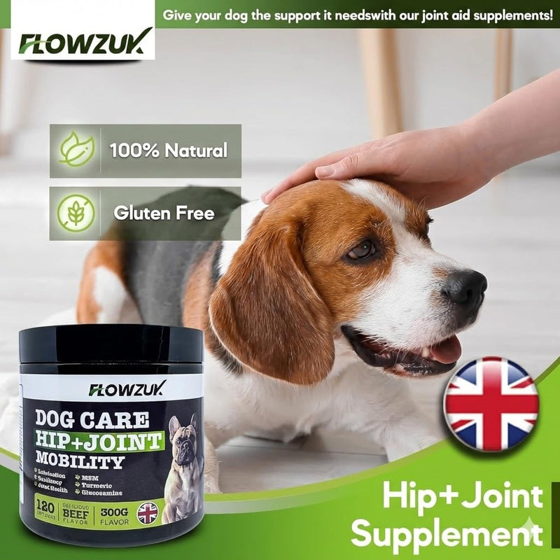 Dog Care Supplement - All-Natural Hip and Joint Supplements for Dogs - Dog Joint Itch Chews with Glucosamine, Turmeric, MSM - Beef