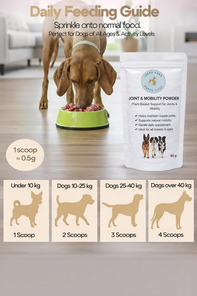 TPHT Dog Joint Supplement – Hip & Joint Supplement for Dogs – Joint Supplements for Dogs with Stiff Joints – Daily Joint Care for Dogs – Mobility Support for Older Dogs – 60g