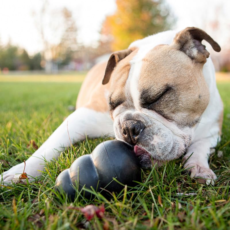 KONG Extreme Dog Toy - Fetch & Chew Toy - Treat-Filling Capabilities & Erratic Bounce for Extended Play Time Most Durable Natural Rubber Material - for Power Chewers - for X-Large Dogs X-Large (Pack of 1) Standard Packaging