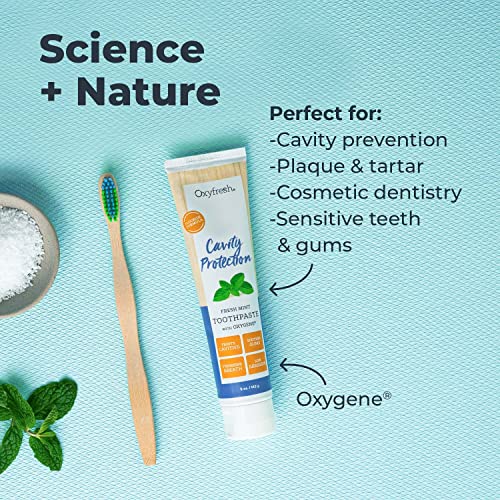 Oxyfresh Premium Cavity Protection – Fresh Mint Fluoride Toothpaste 3 Pack