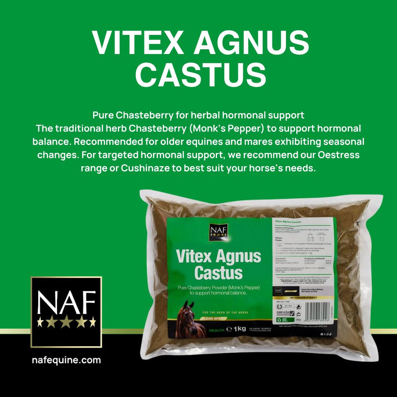 NAF Vitex Agnus Castus Powder 1kg – Natural Hormonal Support for Horses – Pure Chasteberry Supplement – Supports Behaviour, Hormone Balance & Seasonal Comfort
