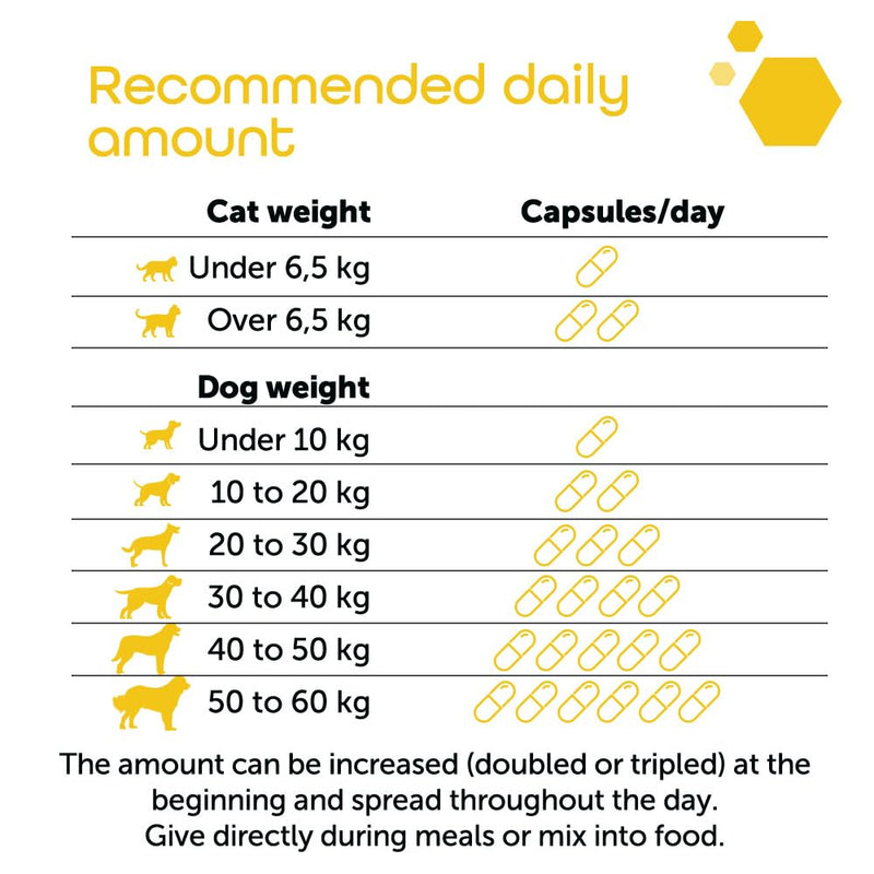 Palmidol® PEA for Dogs and Cats – 30 Sprinkle Capsules | Ideal for Senior Pets & Wellness Support