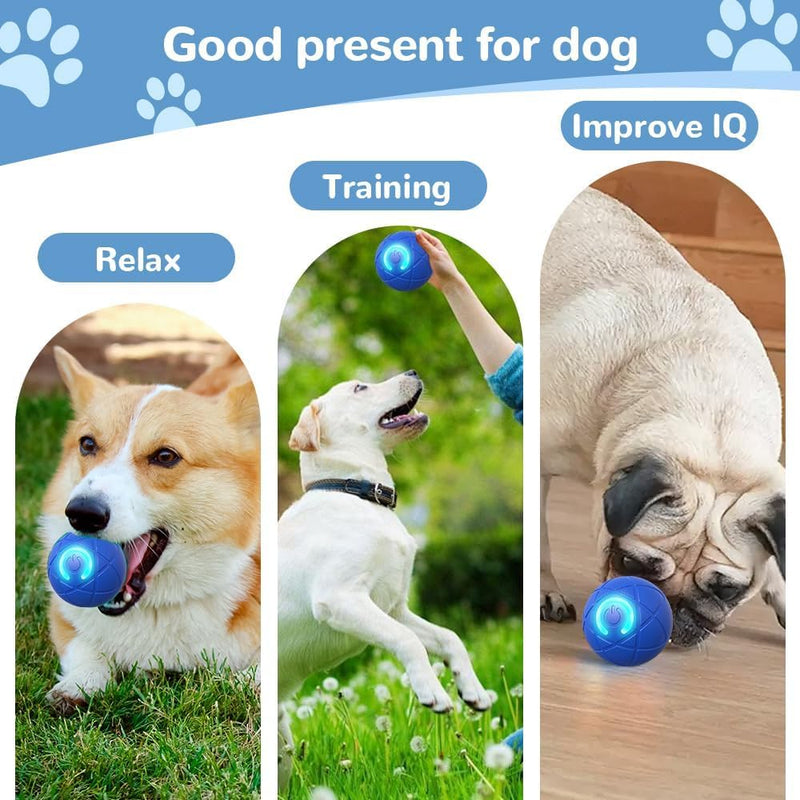 2025 New Shaky Ball Toy for Dogs, Upgrade Interactive Dog Ball, Pet Bounce Ball, Vibrating Dog Ball, Automatic Moving Dog Toy Ball, USB Rechargeable Shaking Pet Ball for Small Dogs - BeesActive Australia
