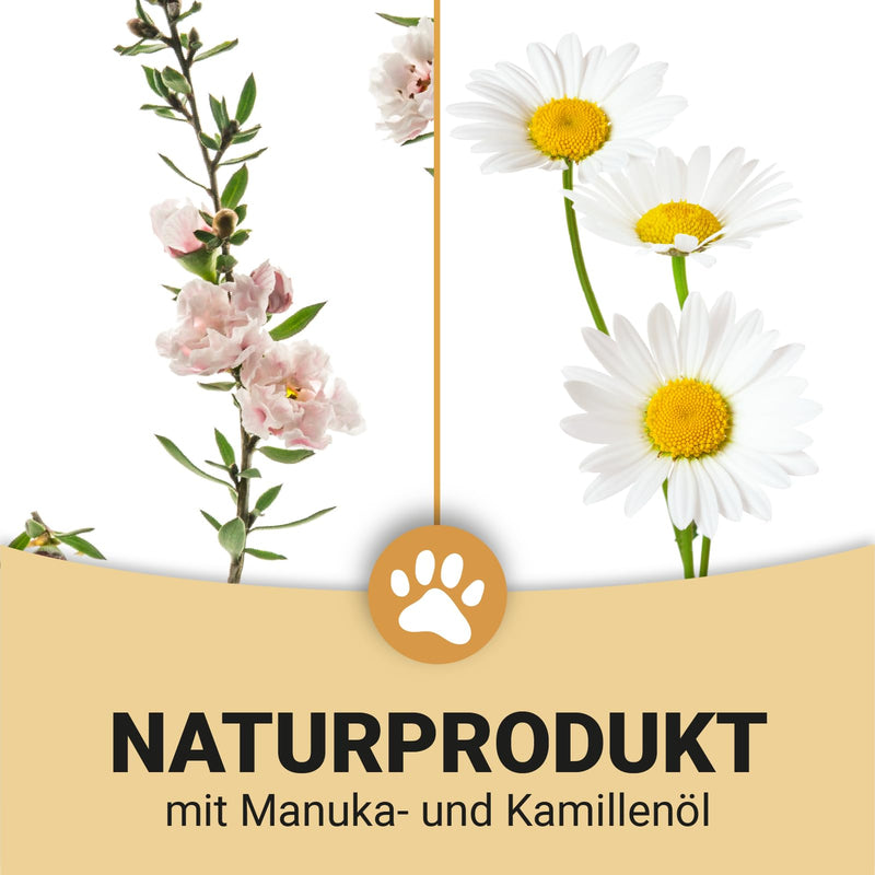 Canifee - Ear drops for dogs ear mite oil dog with manuka oil for yeast fungus and ear mites dog, 110ml bottle with finely adjustable dosing head, natural care oil against inflammation ear mite oil 110ml - BeesActive Australia