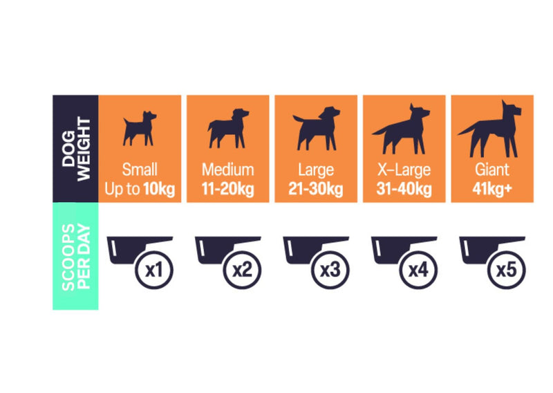 Natural VetCare DAILY DENTAL Powder for Dogs 200g - Gum Health Support, Plaque & Tartar Control, Fresh Breath Dental Powder, Daily Oral Care for Overall Oral Wellbeing