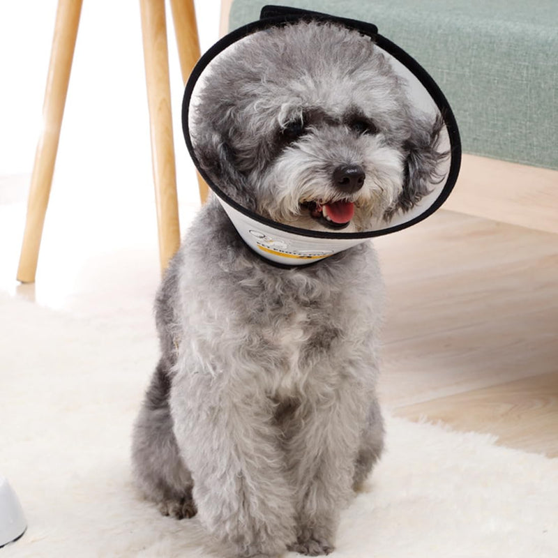 VAEIORP 1 Neck Collar for Pets Pets Plastic Elizabethan Plastic Elizabethan Collar Soft Cat Protective Collar Lightweight Elizabethan Collar for Kittens Puppies XS 15-18CM - BeesActive Australia