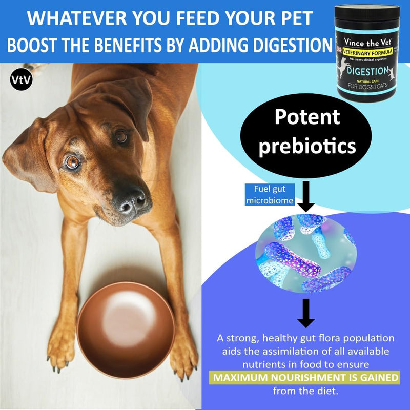 Natural Digestion Prebiotic Powder for Cats & Dogs (600g), Human Grade Veterinary Formula For Health Gut , Bloating, Stool Formation, Healthy Bowel Movements 600g