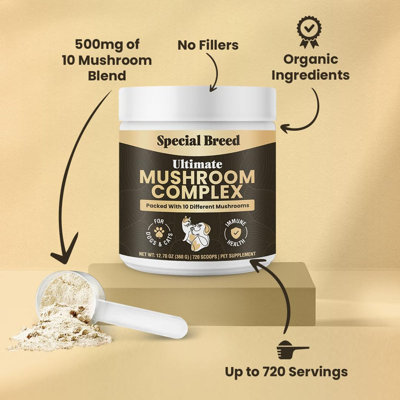 Mushroom Powder for Dogs & Cats - Organic Mushroom Complex for Immunity Support, Immune Function, Cognition, Vitality - Ten Mushroom Supplement with Turkey Tail, Lion's Mane, Reishi - 720 Scoops 12.70oz