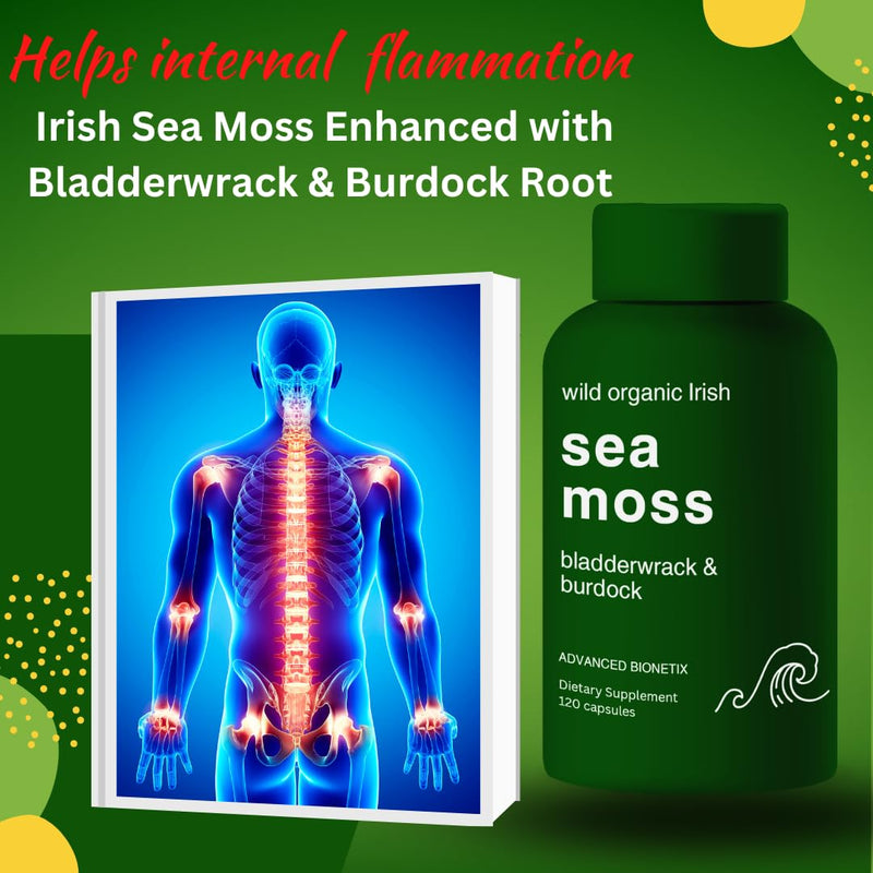Advanced Bionetix Organic Irish Sea Moss Capsules, Raw Wildcrafted Seamoss Enhanced w/Bladderwrack & Burdock Root Capsules 120 Total Pills Antioxidant Packed. Prebiotic Superfood, Thyroid Support 120 Count (Pack of 1)