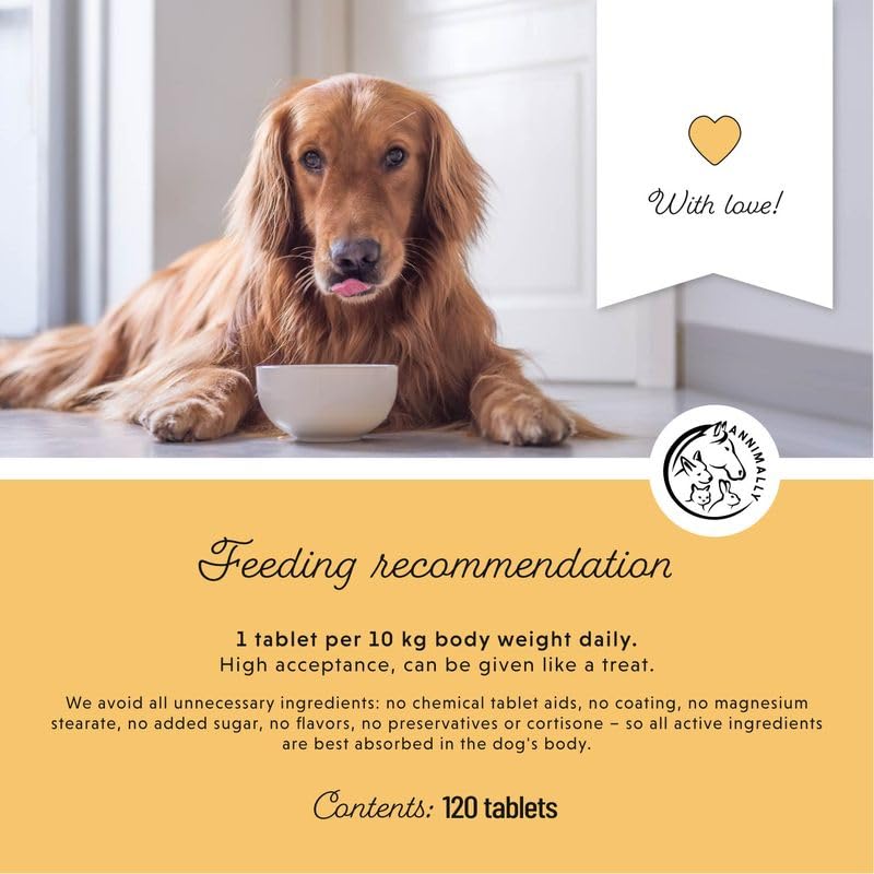 Annimally Senior Vital Tablets for Dogs 120 pcs. - Daily Supplements for Senior Animals with Spirulina, Rosehip & Ginger, Made in Germany