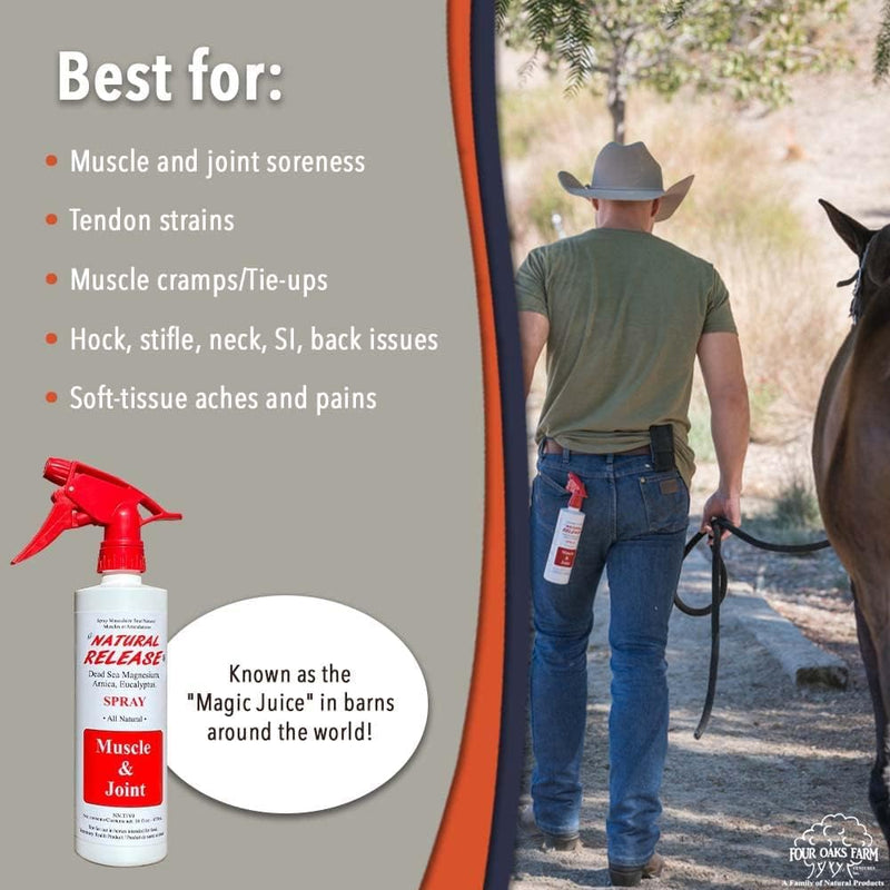 Natural Release Muscle Spray Treatment - Horse Liniment for Sore Muscles, Joint Pain, Tendon & Inflammation Relief - Easy to Use, Fast Acting, Alcohol & Menthol Free (16 oz) 16 oz. - BeesActive Australia