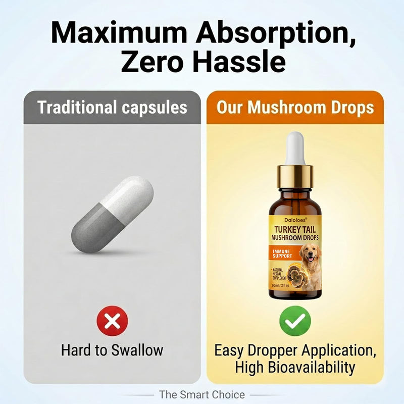 Turkey Tail Mushroom for Dogs, Immune Support & Digestive Health Supplement, 5X Turkey Tail Mushrooms for Pet Liquid Drops with Natural Turmeric & Probiotic, Faster Absorption, 2 Fl Oz(Pack of 1) 2 Fl Oz(Pack of 1)