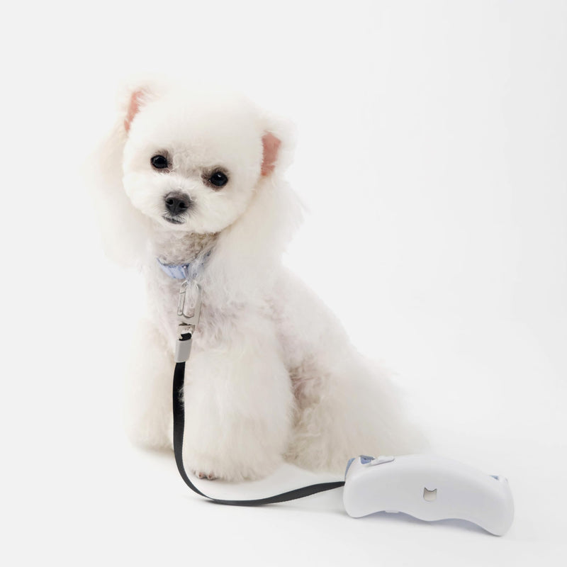 Retractable Dog Leash 5.6 ft Adjustable Soft Hands Free Dog Walking Lead, One-Handed Quick Brake Retractable Leash for Small Medium Dogs Up to 33 lbs, Tangle Free (Ivory White) Ivory White - BeesActive Australia