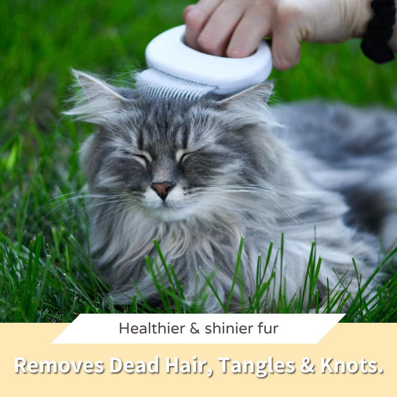 Leo's Paw The Original Pet Hair Removal Massaging Shell Comb Soft Deshedding Brush Grooming and Shedding Matted Fur Remover Dematting tool for Long and Short Hair Cat Dog Puppy Bunny (White) White - BeesActive Australia
