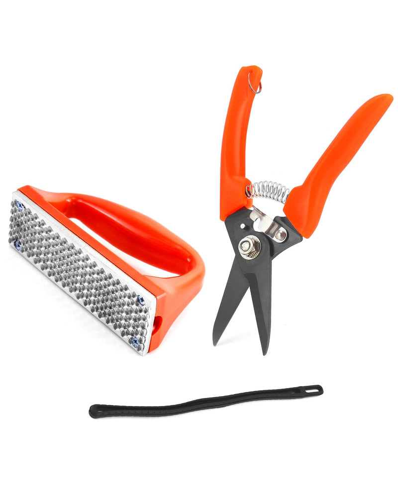 QWORK Hoof Trimmers Goat Hoof Trimming and Mini Rasp Hoof File, 7" Multipurpose Nail Scissors Daily Trim and 5" Rasp for Pig Trotters, Sheep, Alpaca, Lamb and Pruning Potted Plants - BeesActive Australia