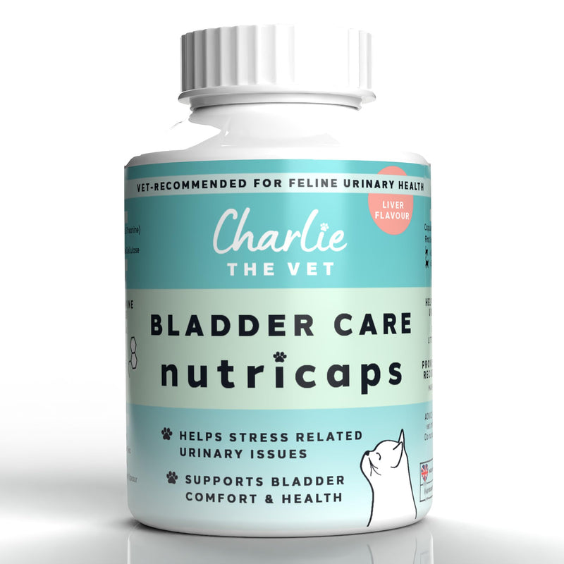 Bladder Care Urinary Support for Cats, with N-Acetyl D-Glucosamine, Hyaluronic Acid, L-Tryptophan and L-Theanine, for Bladder Comfort