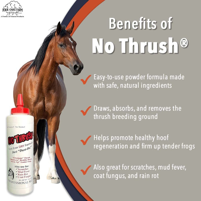 No Thrush Dry Powder Treatment for Horses - Wound Care, Scratches, Rain Rot, Mud Fever, Coat Fungus - All Natural Ingredients, Non-caustic, Easy to Use Powder Formula (10 oz) 10 oz. - BeesActive Australia