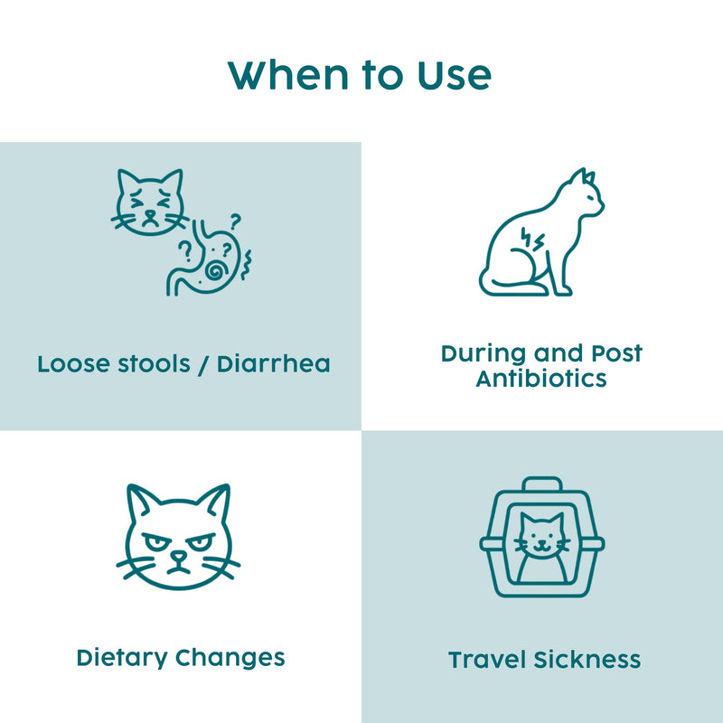 Probiotics for Cats Paste 15ml, Cat Diarrhea Treatment - New Formula for Easy Dispensing, Advanced Prebiotic, Diarrhea Relief, Restore Digestion, Loose Stools & Gut Balance - Catnip Flavoured
