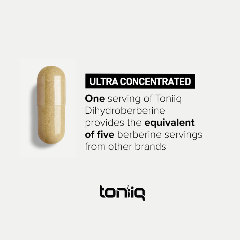 Dihydroberberine Supplement - Ultra High Potency 1,000mg Formula with GlucoVantage, 10:1 Ceylon Cinnamon & 50:1 Milk Thistle - Third-Party Lab Tested 60 Count (Pack of 1) - BeesActive Australia