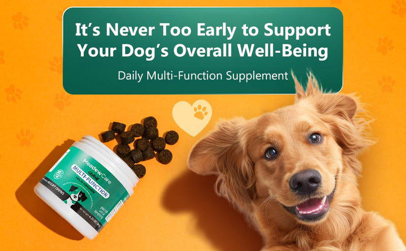 Hip and Joint to Supports Bone, Cartilage & Connective Tissue & Multi-Function to Support Joint Mobility, Skin, Coat & Immune System, Bundle for Dogs