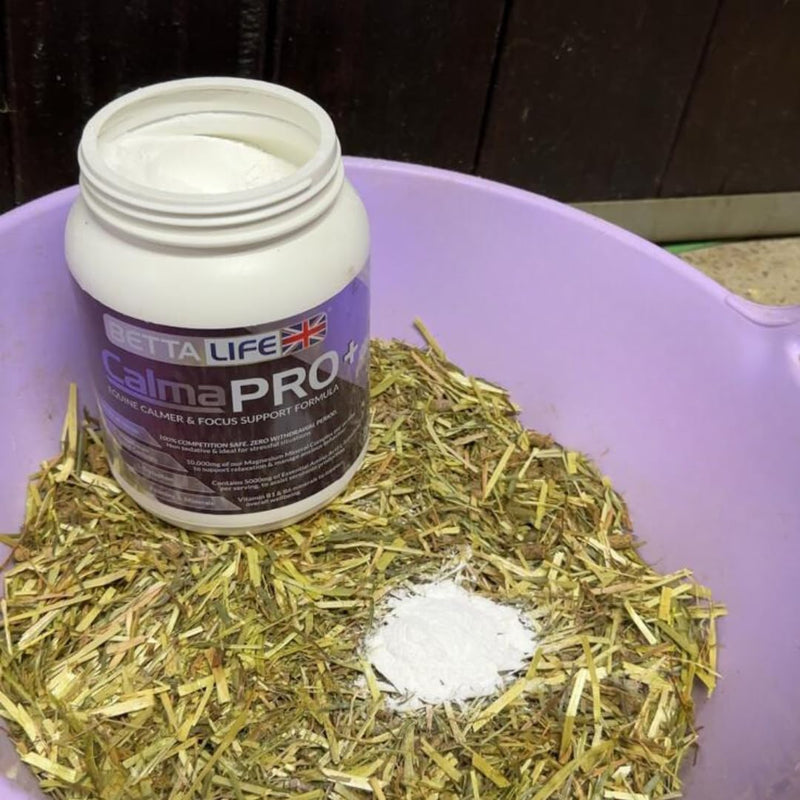 BETTALIFE CalmaPRO+ Equine Calmer and Focus Support Formula