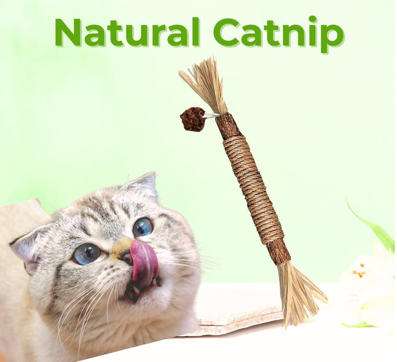 TheGuard 4 Natural Catnip Toys Set; 3 Matatabi Silvervine Chew Sticks & Cute Scented Mint Fish Cat Chew Toy with Catnip & Sound for Cuddle (Natural Teethers) Natural Teethers