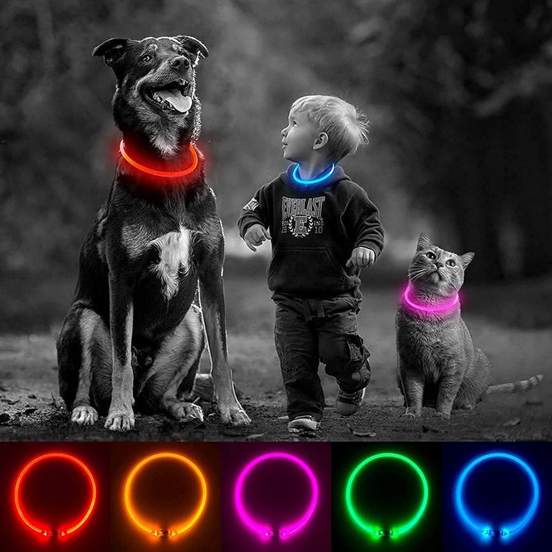 iTayga Luminous Dog Collar, USB Rechargeable and Waterproof Dog Collar, Adjustable Length, Safety Collar for Dogs and Cats, 3 Modes, Green - BeesActive Australia