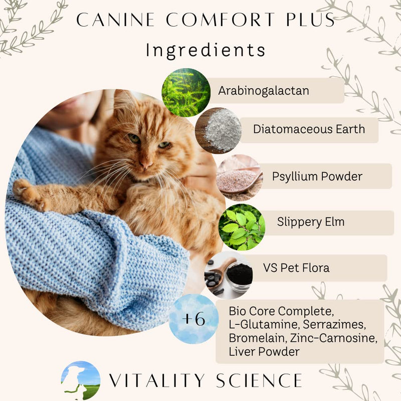 Vitality Science Canine Comfort Plus for Dogs | Advanced Digestive Support | for Chronic Vomiting & Diarrhea | Restores Microbiological Balance | Reduces Acidity | 100% Natural & Safe (Beef, Small) Beef