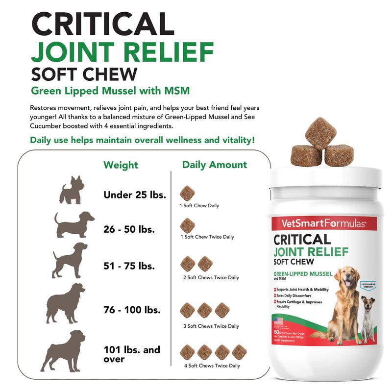 VetSmart Formulas Critical Joint Relief Soft Chew for Dogs – Hip & Joint Supplement with Glucosamine, MSM, Green-Lipped Mussel – Joint Discomfort, Hip Dysplasia & Mobility Support, Made in USA Soft Chews 60 Soft Chews