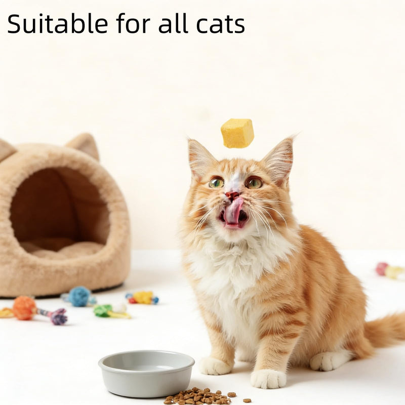 40G Cat Grass for Indoor Cats Dental Treats,Freeze-Dried Chicken Cubes Cat Teeth Cleaning Chew Sticks,Catnip Sticks Dental Stic/ks Teething To/y for Oral Care,Nat/ural Catnip Sti/cks Teething T/oy