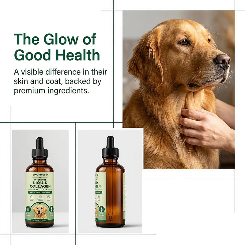 Tryclover Premium Liquid Collagen for Dogs, Hyaluronic Acid & Vitamins C for Skin Barrier, Coat & Joint Support, 60ml/2floz (1pcs) 2 Fl Oz (Pack of 1)