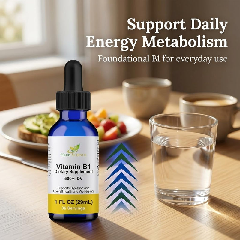 Vitamin B1 Liquid Drops, Thiamine, Alcohol-Free, 1 Oz | Made with Only 3 Premium Ingredients, 500% Daily Value per Serving and 36 Servings in an Easy-to-Take Vegan Liquid Formula 1 Fl Oz (Pack of 1)
