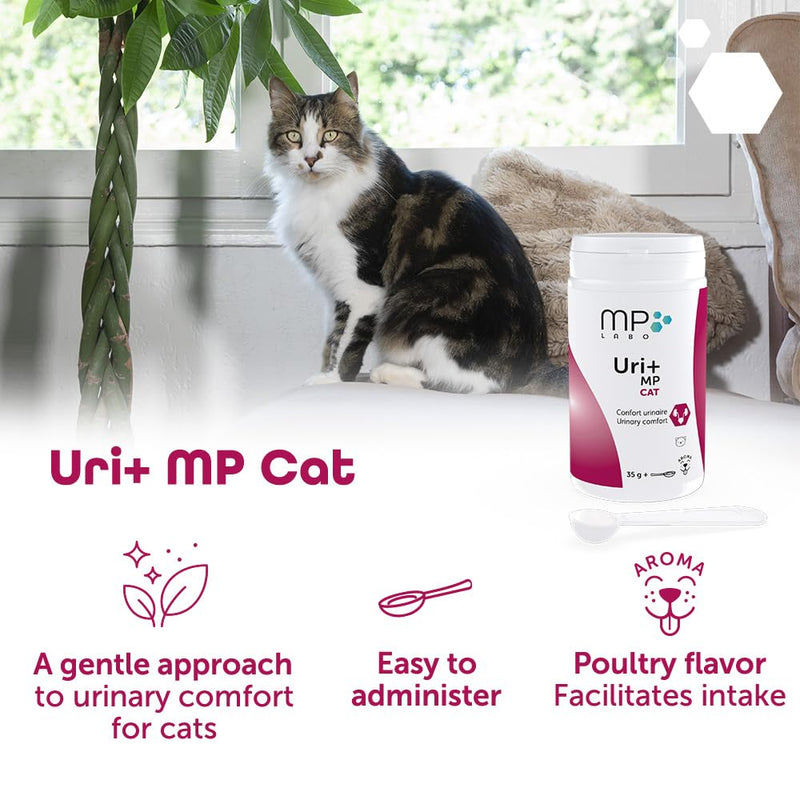 Uri+ MP Cat – Daily Urinary Support with Selected Nutrients – Bladder Supplement - Supports Nutritional Balance & Comfort – Powder with Measuring Spoon
