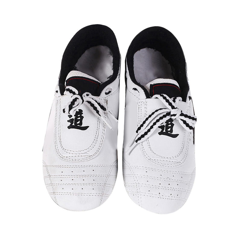 Yctze Unisex Taekwondo Shoes Sport Boxing Kung Fu Taichi Sneakers for Men, Women and Children, Ideal for Martial Arts, Kickboxing, Karate and Sparring 42