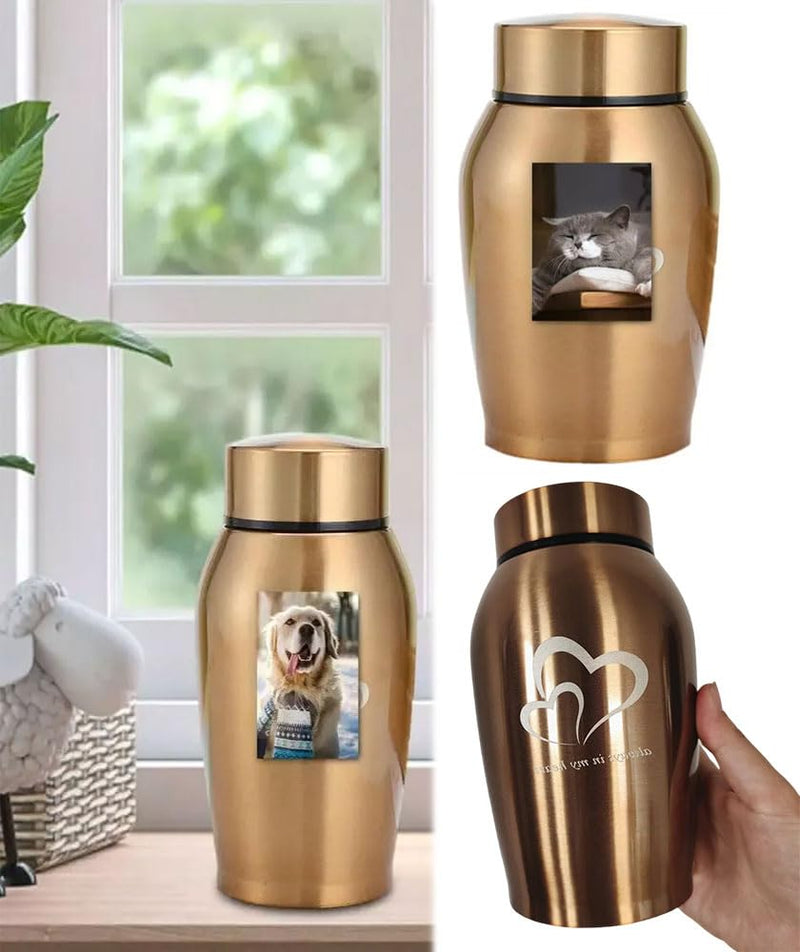 ZHYUAN Pet urn made of stainless steel, urns for dogs and cats, pet memorial urn, memorial urn, portable pet urn, pet urn made of stainless steel, suitable for dogs, cats and other small animals (Golden) Golden - BeesActive Australia