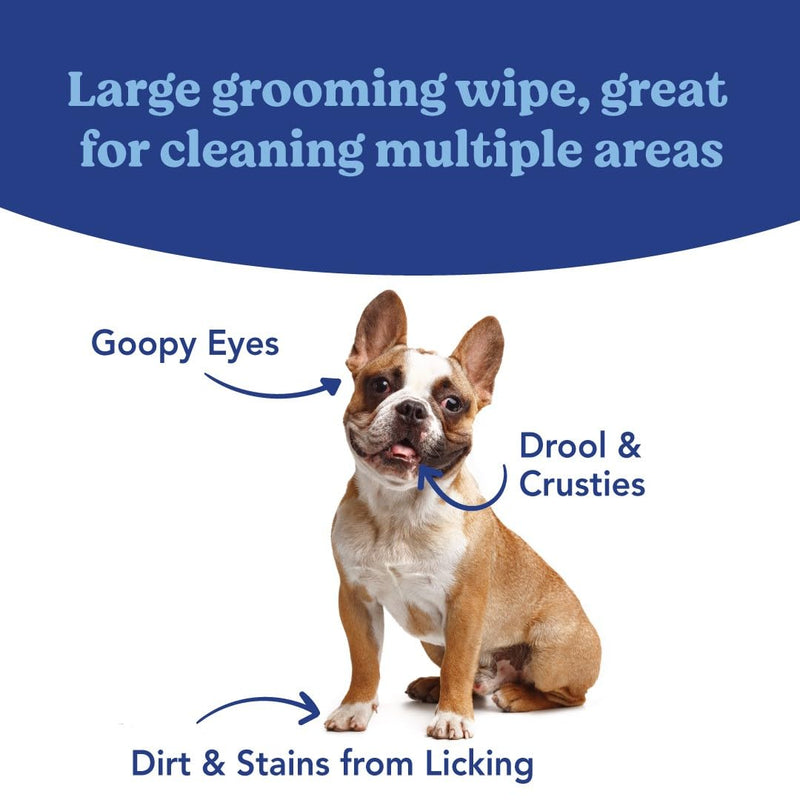 ANGELS’ EYES Face, Eye & Paw Cleansing & Tear Stain Wipe, Large 4”x7” Hypoallergenic Dog & Cat Wipes, Reduce Tear Stains, Dirt, and Discharge, Fragrance Free, 40 Count - BeesActive Australia
