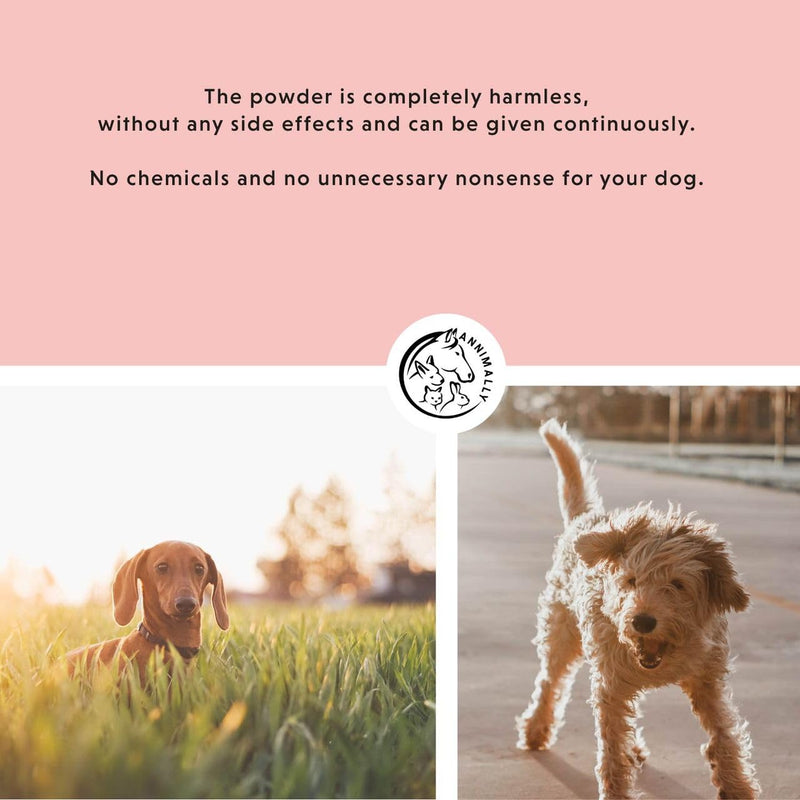 Annimally Zec McWeg for Dogs 400 g - Daily Powder Supplement with Cistus Herb, Black Seed Oil, Seaweed Meal & Brewer’s Yeast, Made in Germany
