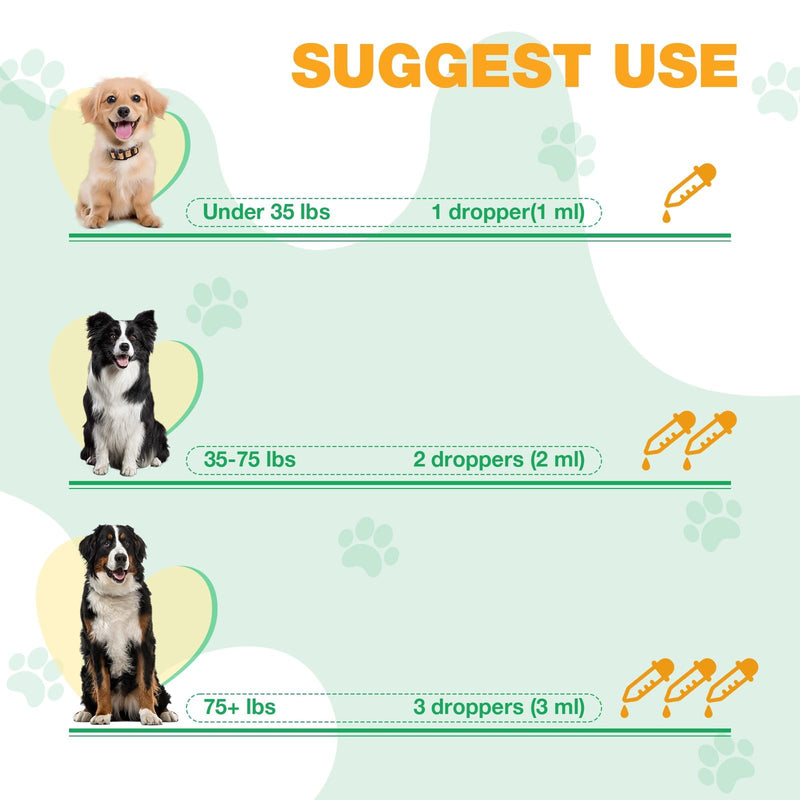 Yeast Infection Treatment for Dogs, Natural Dog Yeast Infection Treatment, Ear & Skin Itch Relief, Reduces Inflammation & Irritation, Herbal Dog Supplement Drops with Probiotics & Multivitamins, 2 FL 1 PACK