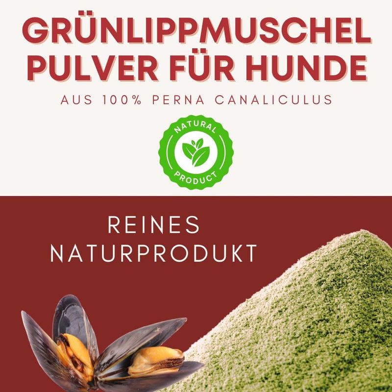 500g Premium Green Lipped Mussel Powder Dog - Made in Germany - Green Lipped Mussel for Dogs Cats Horses 100% pure - Green Lipped Mussel Extract Dogs Perna Canaliculus - Barf Powder Dog Cat Horse - BeesActive Australia