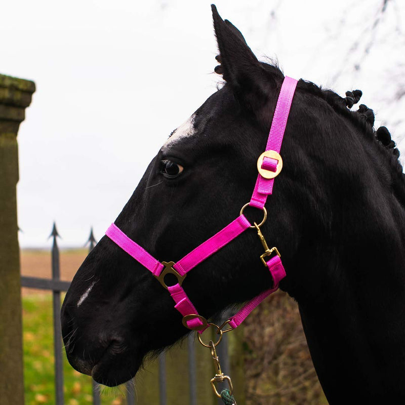 Pferdelinis Halter Foal Halter for Mini Shetty Halter for Wooden Horse - Foal Halter 2-Way Adjustable on Chin & Neckpiece (Pink, Foal) Pink