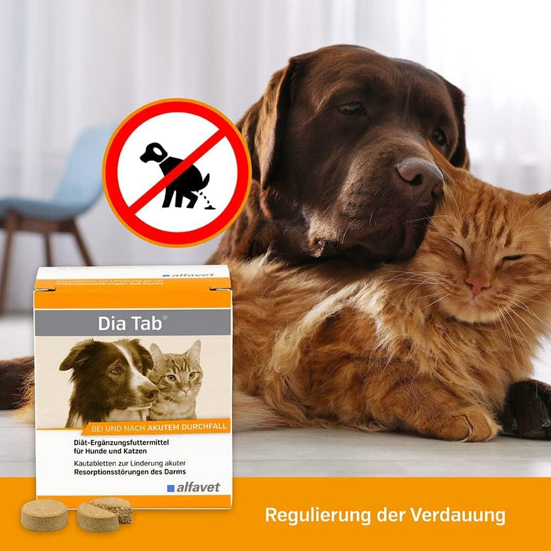 DIA TAB chewable tablets for dogs/cats 6X5.5 g - BeesActive Australia